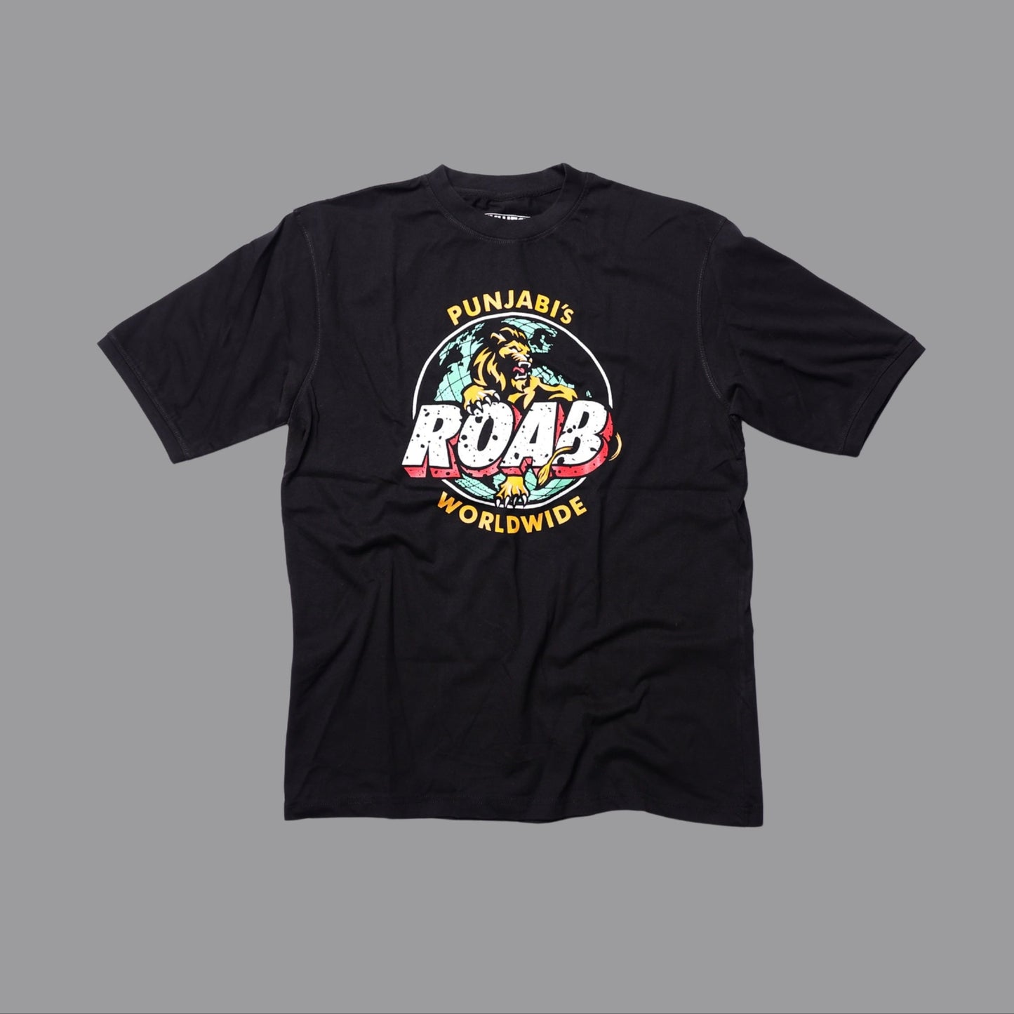 Punjabi ROAB Worldwide Tee